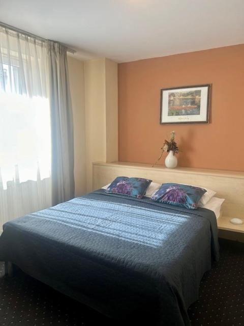 Hotel Pacific Тимишоара Экстерьер фото